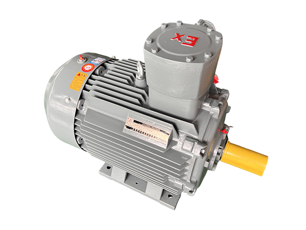 CT4防爆電機 